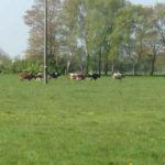 IMG-20191113-WA0013
